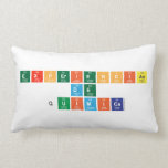 Experiencias 
 De 
 Quimica  Pillows (Lumbar)