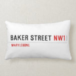 Baker Street  Pillows (Lumbar)