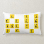 g  i v
 E m e ba
 Ckm y g
 O l  d.  Pillows (Lumbar)