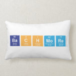 Bachmore  Pillows (Lumbar)
