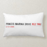 PRINCES MARINA DRIVE  Pillows (Lumbar)