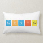 convite  Pillows (Lumbar)