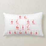 we 
 are the
 best 
 solution  Pillows (Lumbar)