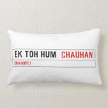 ek toh hum   Pillows (Lumbar)