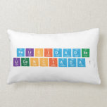 Felicidades
 licenciada!  Pillows (Lumbar)
