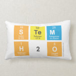 STEM
 H2O  Pillows (Lumbar)