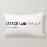 Catsick Lane  Pillows (Lumbar)