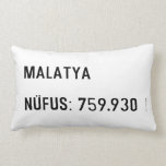 MALATYA  NÜFUS: 759.930  Pillows (Lumbar)
