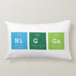 nigga  Pillows (Lumbar)
