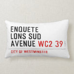 enquete  lons sud  avenue  Pillows (Lumbar)