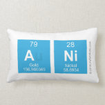 ANI  Pillows (Lumbar)