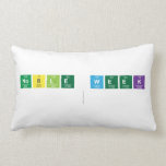 NOBLE WEEk
   Pillows (Lumbar)