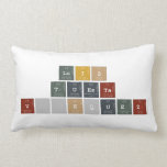 Luis
 Tuesta
 Vásquez  Pillows (Lumbar)