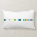Gülçin ve mustafa   Pillows (Lumbar)