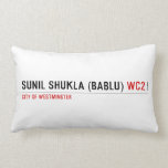 Sunil shukla (bablu)  Pillows (Lumbar)