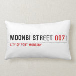 Moonbi Street  Pillows (Lumbar)
