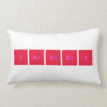 jazzy  Pillows (Lumbar)