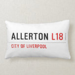 ALLERTON  Pillows (Lumbar)