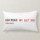 Ash road   Pillows (Lumbar)