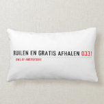 Ruilen en gratis afhalen  Pillows (Lumbar)
