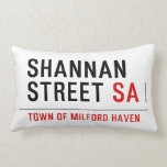 Shannan Street  Pillows (Lumbar)