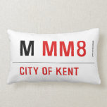 M  Pillows (Lumbar)
