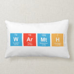 Warmth  Pillows (Lumbar)