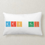 mrs pai  Pillows (Lumbar)