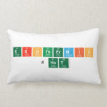 Exothermic
  #HOT  Pillows (Lumbar)