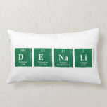 Denali    Pillows (Lumbar)