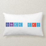 Canada Dry  Pillows (Lumbar)