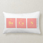 BaCon  Pillows (Lumbar)