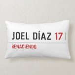 JOEL DÍAZ  Pillows (Lumbar)
