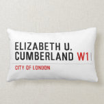 ELIZABETH U. CUMBERLAND  Pillows (Lumbar)