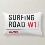 Surfing Road  Pillows (Lumbar)
