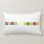 Bankin' BuckS  Pillows (Lumbar)