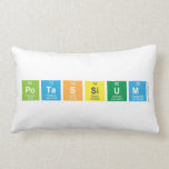 Potassium  Pillows (Lumbar)