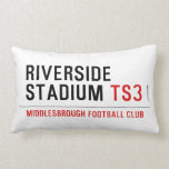 RIVERSIDE STADIUM  Pillows (Lumbar)