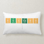 success
   Pillows (Lumbar)