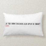 ek toh hum Chauhan Aur upar se Smart  Pillows (Lumbar)