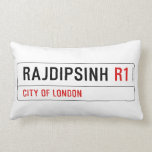 RAJDIPSINH  Pillows (Lumbar)