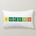 Blueprints  Pillows (Lumbar)