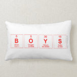 boys  Pillows (Lumbar)