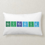 Nduranium  Pillows (Lumbar)