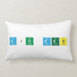 Aju Deb  Pillows (Lumbar)