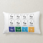 NaNaNaNa
 NaNaNaNa
 Batman  Pillows (Lumbar)