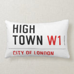 HIGH TOWN  Pillows (Lumbar)