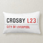 Crosby  Pillows (Lumbar)