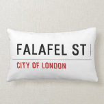 Falafel ST  Pillows (Lumbar)