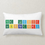 The Lacroix 
 Laboratory  Pillows (Lumbar)